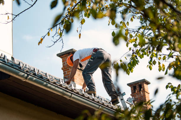 Best Gutter Installation and Roofing  in New York, NY